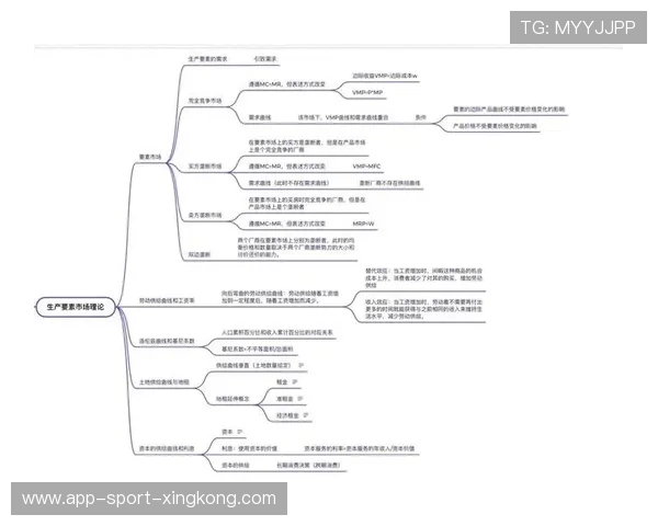 青训与地方产业链整合的经济学视角