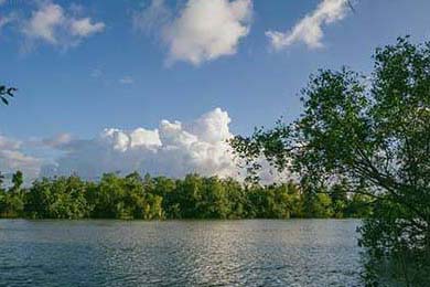 2021赛季欧洲篮球冠军联赛