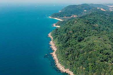 100 Thieves黑马之路持续，黑马uiue